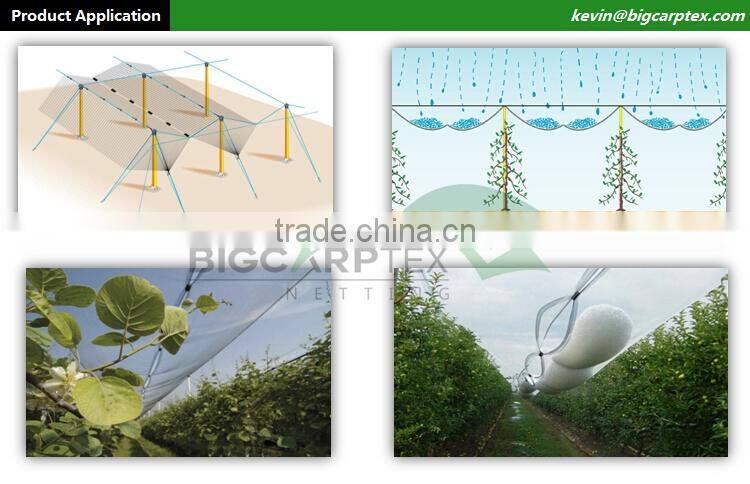 43 grm HDPE Agriculture Leno anti hail net