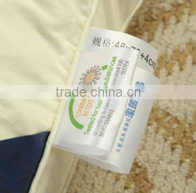 Bamboo memory Pillow