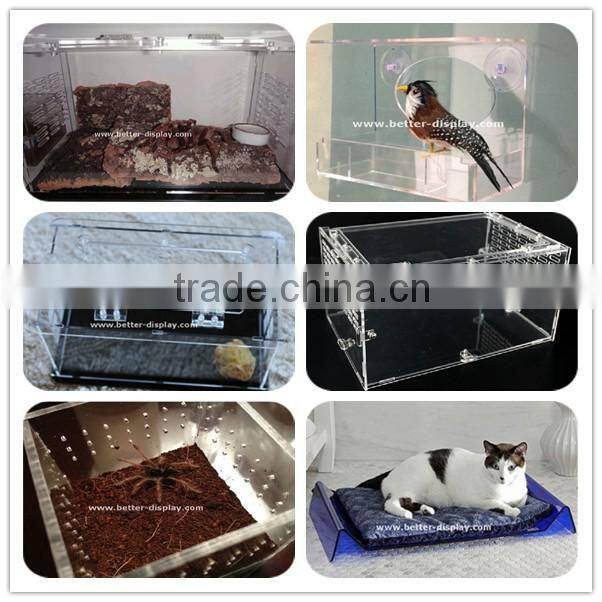 wholesale acrylic insect cage with breath hole