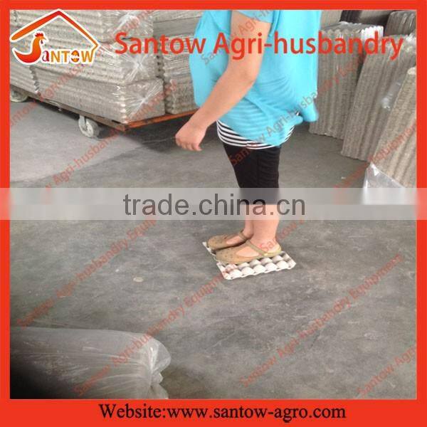 500pc/h capacity Egg tray maker