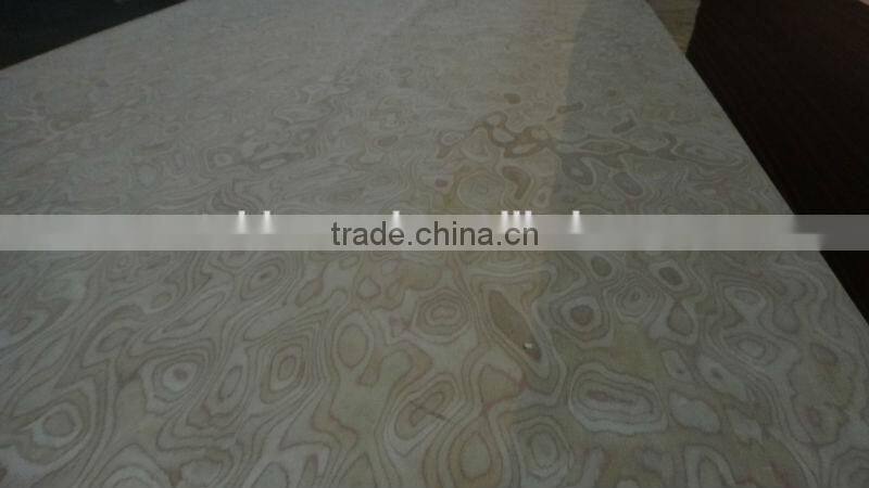 EV white Burl MDF Board from Linyi China