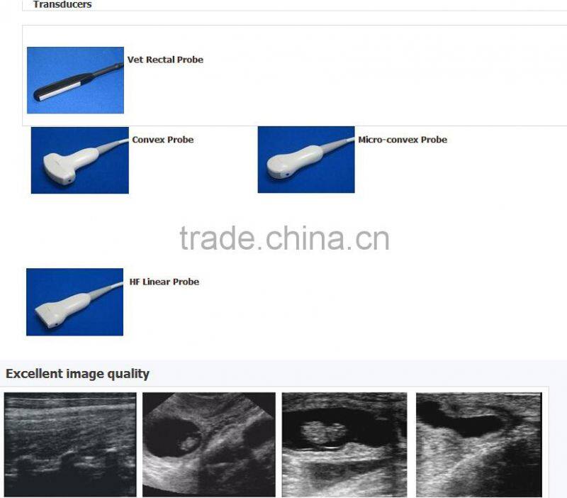 Mini Veterinary/vet Ultrasound Machine V8 for animal