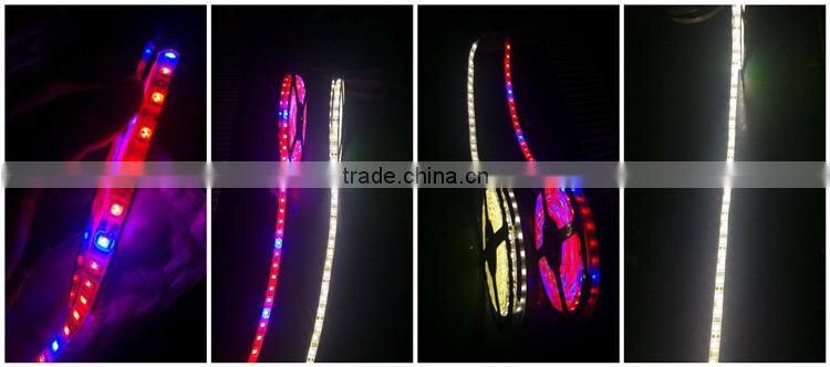 AC/DC 12 led neon flexible bendable led strip 5050