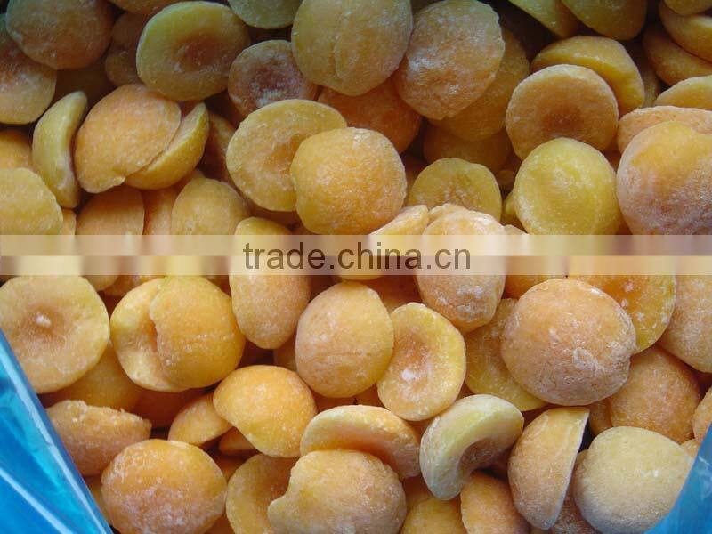 Common Cultivation natural Dried Style apricot seeds