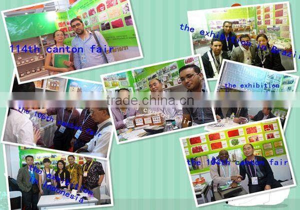 Erjintiao Dried red hot chilli