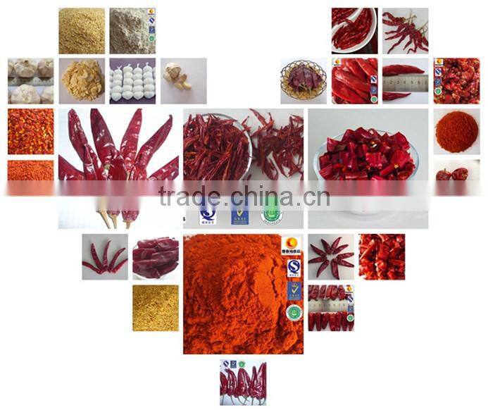 Manufacturer Company Exported High Quality Chaotian Chilli Seed Hybrid Chilli Seeds Hot Pepper Seeds Chili Seeds Dry Seeds