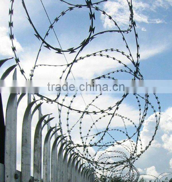 Security Wall Spikes