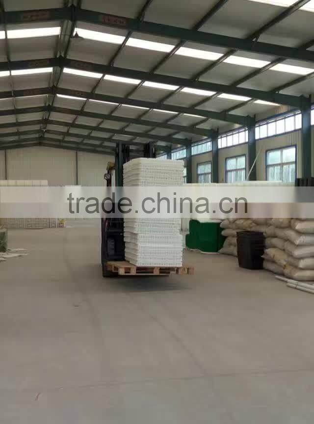 chicken transport trays