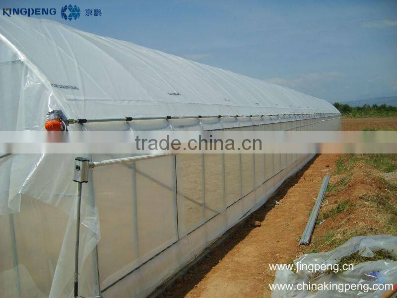 Commercial Plastic Film Greenhouse For Agriculture