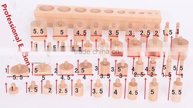 Teaching AIDS Wooden educational toys montessori Cylinders blocks