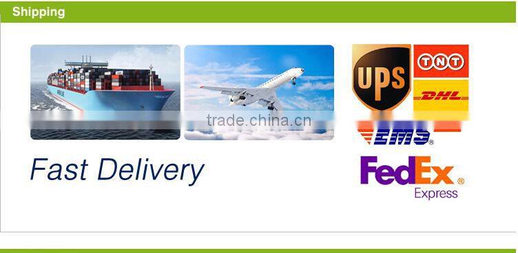 ACS CE UPC CUPC certificationStainless steel flexible bidet bathroom toilet bidet hose