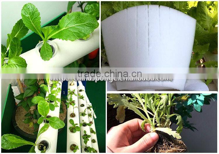 Soilless Cultivation of Vegetables Techniques Planting Foam/ Soilless Culture Foam