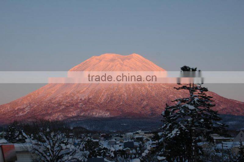 Resort Real Estate,Niseko,Hokkaido,Japan