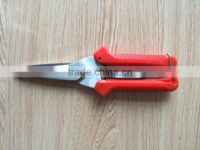 hand tool/pruner scissors/pruning shears trees/chromed fruit scissors