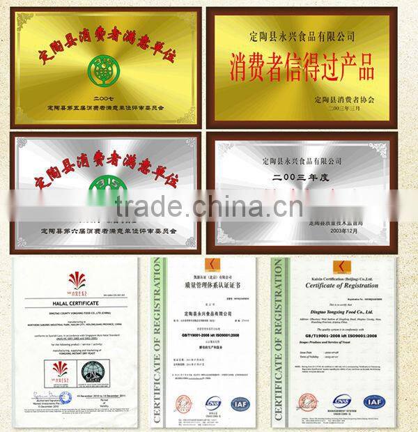 500g/bag High Sugar Instant Dry Yeast with Halal Certificate