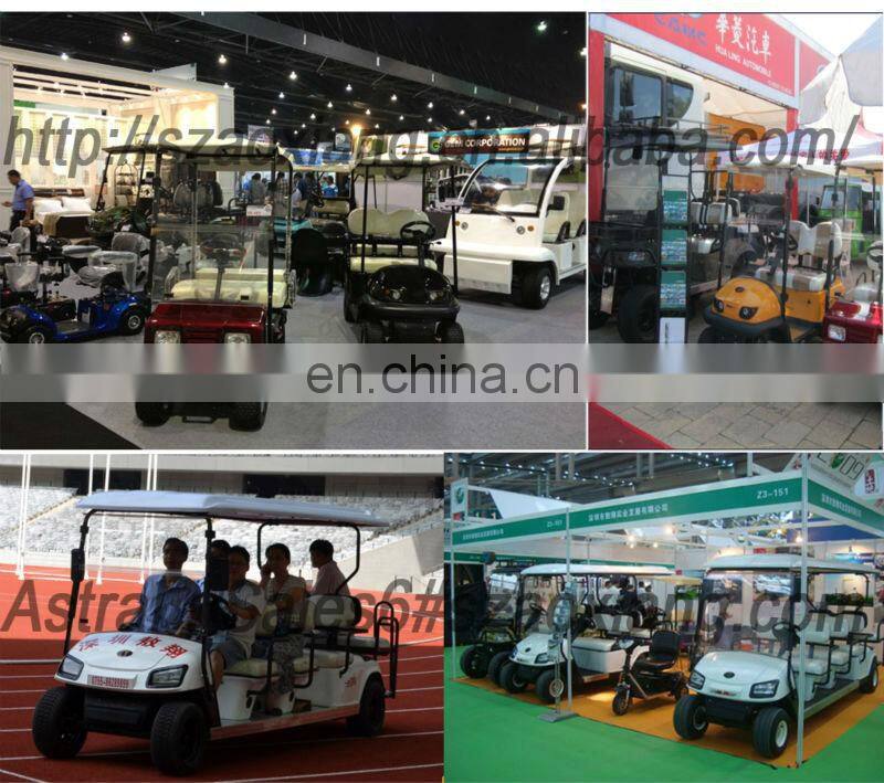 Powerful 48V 4000W high quality chinese gas golf carts for sale from China with CE approved
