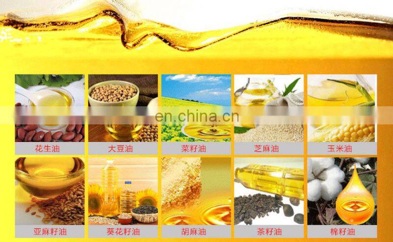 China factory walnut cooking oil pressing machine