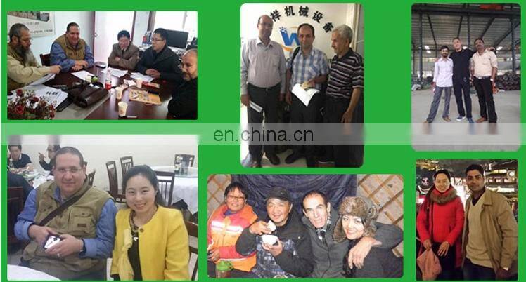 Industrial lemon washing cleaning slicer drying processing line