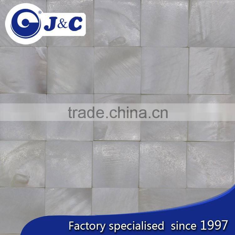 natural river shell mosaic decoration