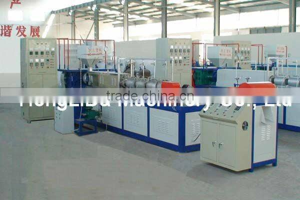Capacity 1T/day PE Physical Foamed Net Machine