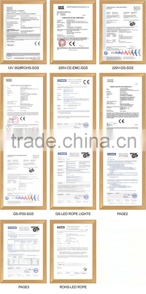 Hot sale Outdoor Solar Led Rope Light