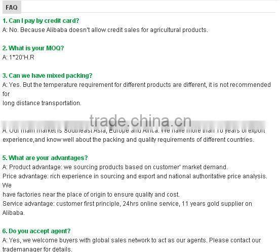 Wholesale potato/Potato low price/ Fresh potato from China