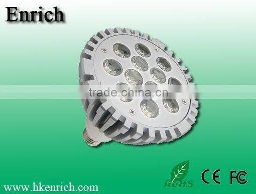 Dimmable PAR 38 Light