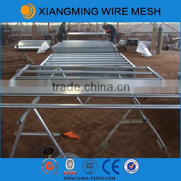 40mm square pipe cattle Yard Panels