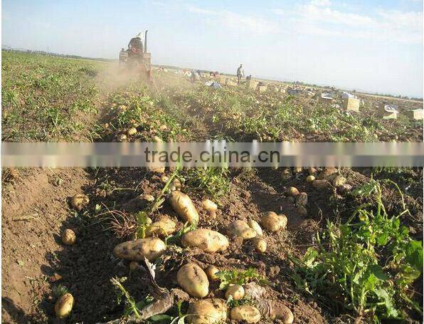 ANON Tractor Mounted Potato and onion Harvester