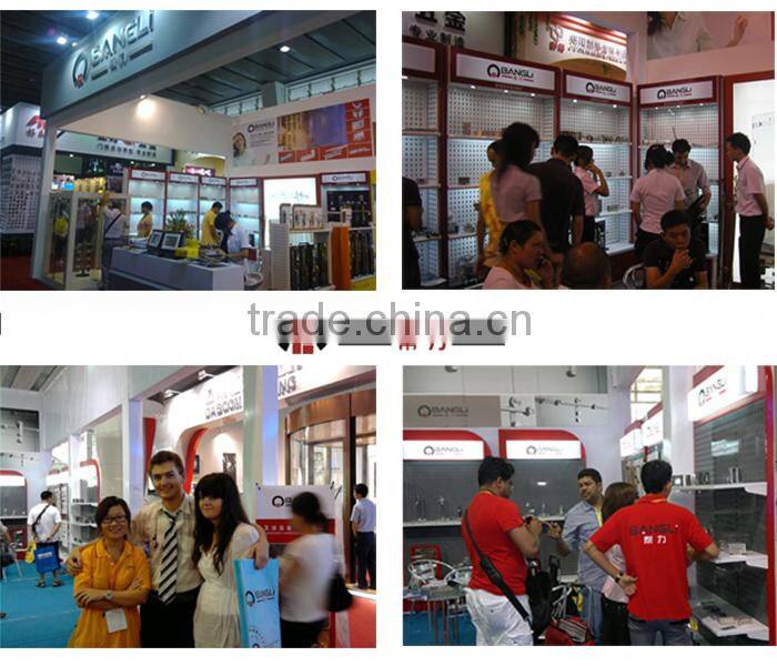 2015 New Products Floor Hinge (Floor Spring) For 125kg Glass Door Two adjustable Speed