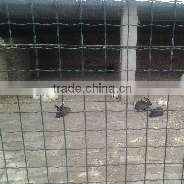 pvc coated Holland wire mesh fence for animal/ grassland