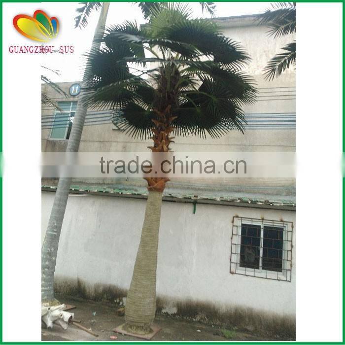 SUS artificial palm tree fiberglass artifcial palm tree