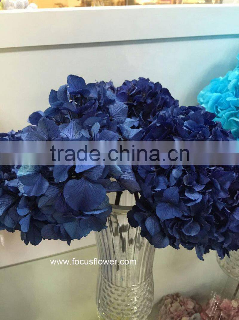 Flower Wedding Wholesale Preserved Flower Pink Hydrangea Macrophylla In Gift Box