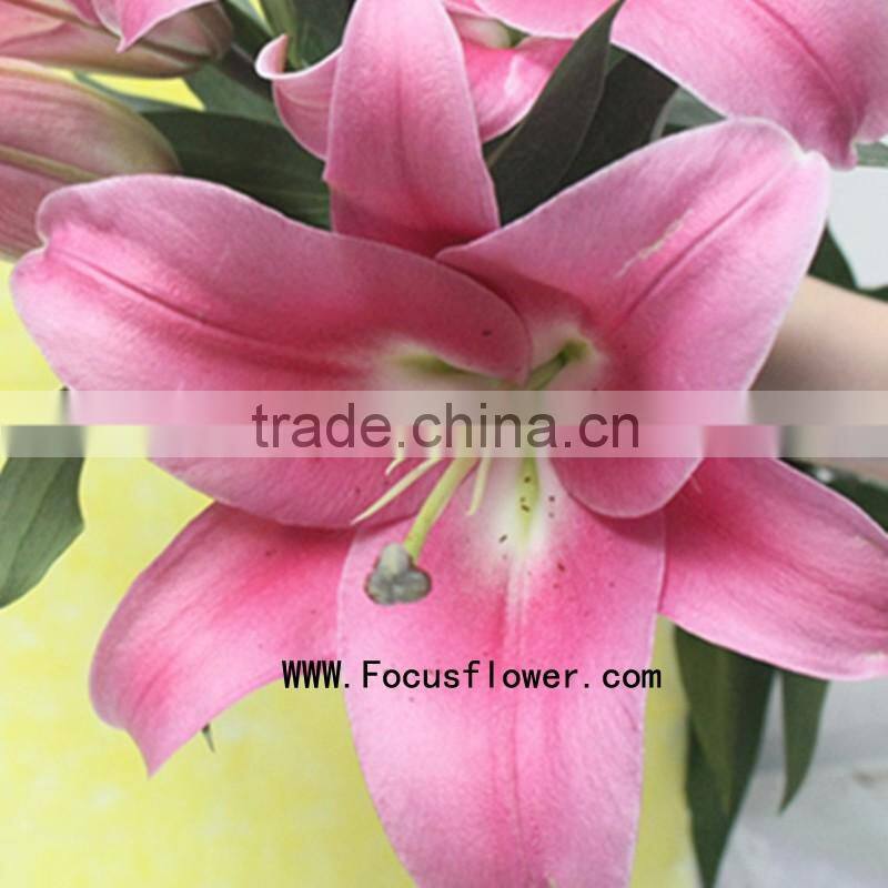 Wedding Decorations Wholesale China Fresh Cut Flowers With 10 Stems/Bundle Natural Lily Flowers Named As Fresh Cut Lily Robina F