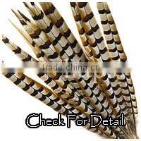 Indian Dance Feather Costume Top Quality Feather Costume