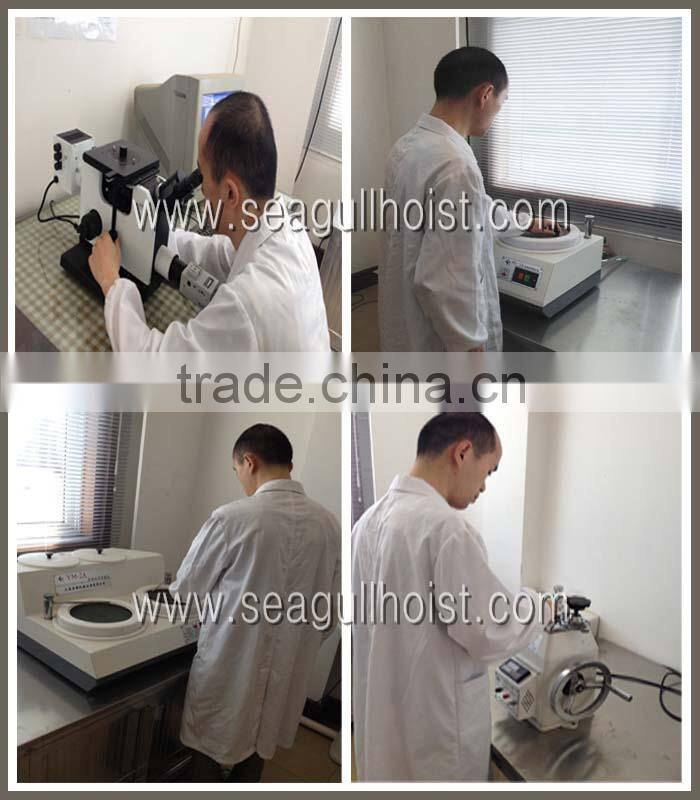 good quality & cheap price manufacturer for ratchet lever block in Jiangsu
