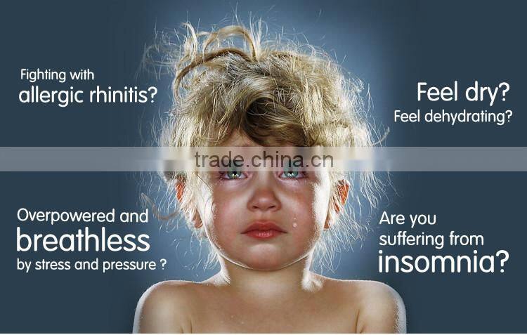 Ultrasonic Mist Maker Fogger / Ultrasonic Humidifier And Ionizer / Mist Maker