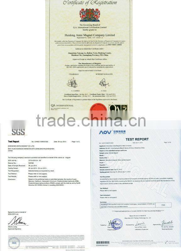 High Quality Sintered Neodymium Magnet/ wedge magnets