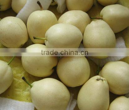 china ya pear of high quality