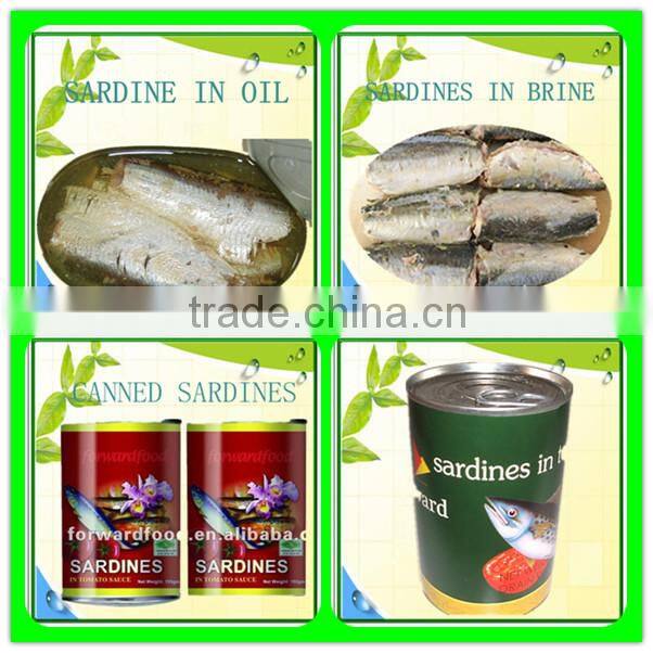 crude sardine fish in oil