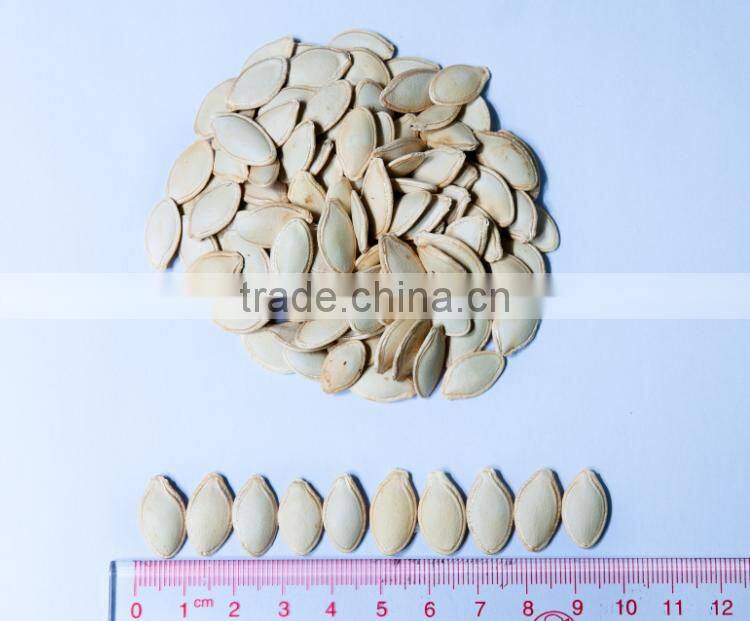 Edible dried snow white melon seeds,2016 new crop pumpkin seeds in shell
