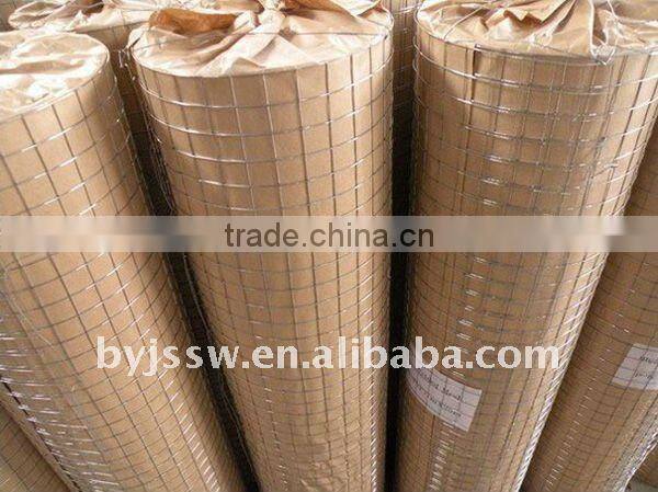 Galvanized Welded Wire Mesh