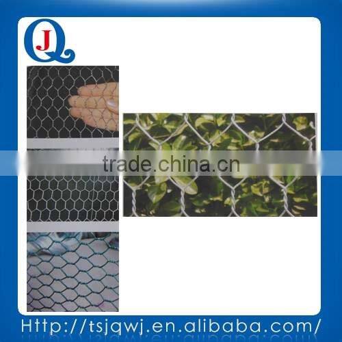 HEXAGONAL WIRE MESH WITH REASONAL PRICE