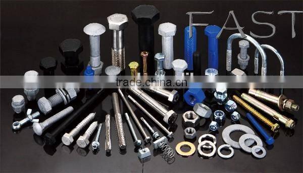 Non Standard Stainless Steel Fastener Bolt Screw with CNC Machining Service