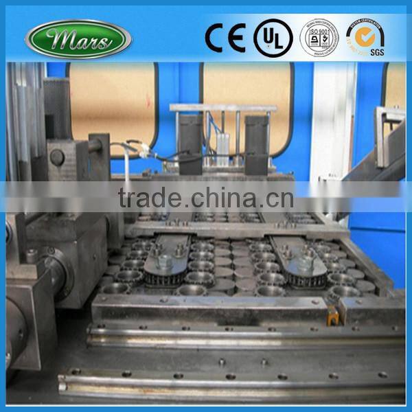 Mineral Water Bottle Making/Blow Molding Machine