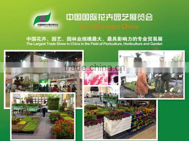 Hangzhou SOL Plastic Hot Sale Garden Decoration hydroponic growing systems hydroponic pot