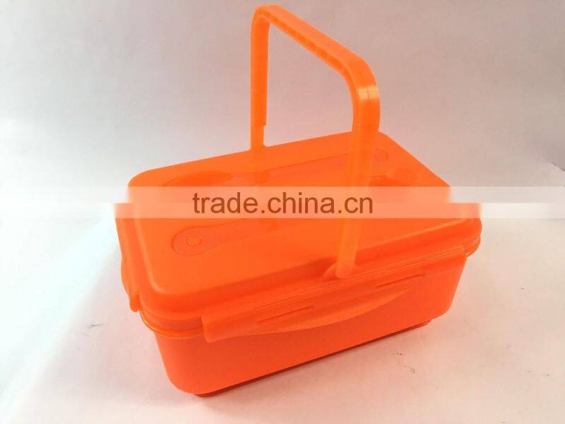 Food grade Salad to go with freezer block