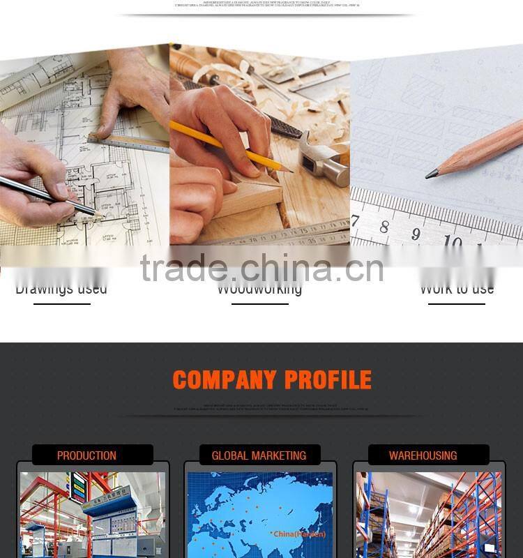 Professional Stainless Steel Ruler