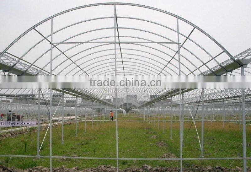 Easy assembled comericial poultry breeding greenhouse