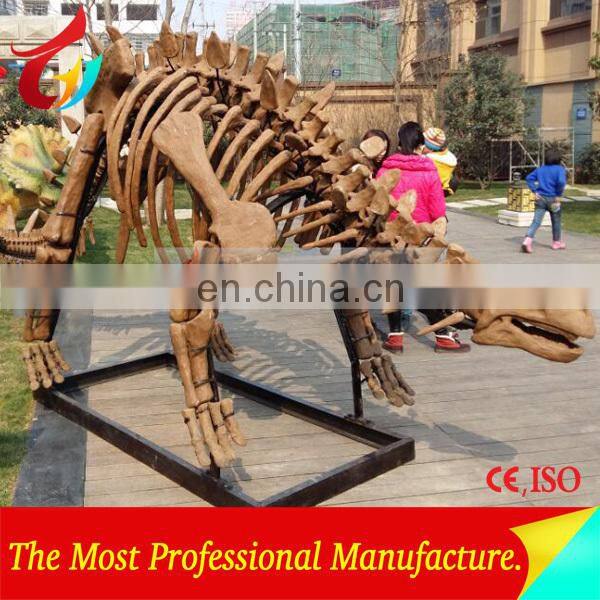 full size high realistic museum quality dinosaur skeleton